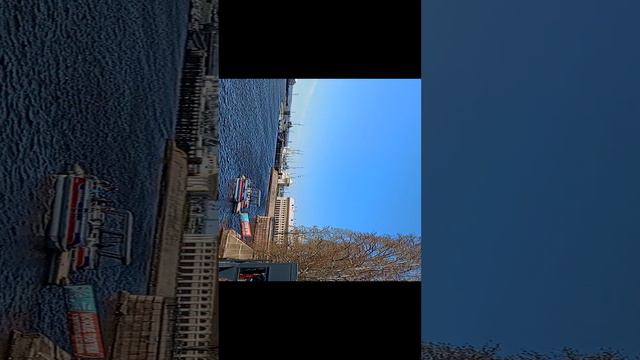 финский залив смотреть онлайн