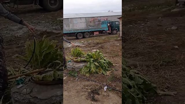 Бурение скважины в Омске смотреть онлайн