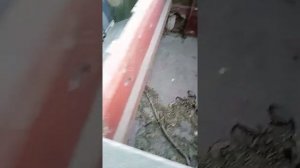 Байда.