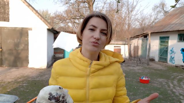 ПОКУПКИ К ПАСХЕ 🧁 смотреть онлайн