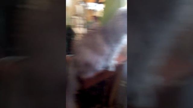 Черепаха - халк смотреть онлайн