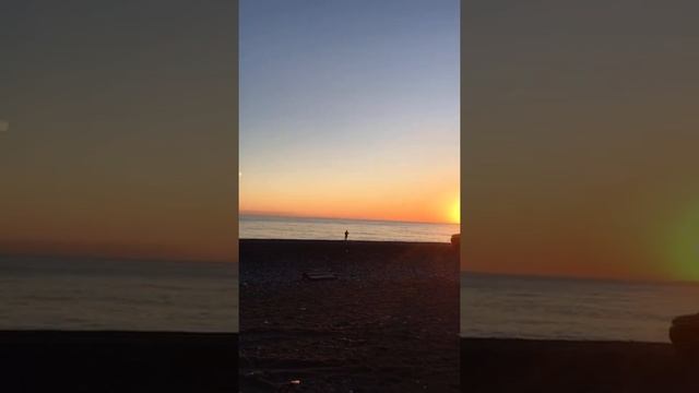 Стая птиц на закате. Курорт Пицунда. Абхазия. смотреть онлайн