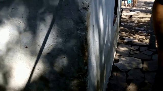 Контактный зоопарк Зоопарк (серия №4) Детский канал Зуми Казуми Petting zoo смотреть онлайн