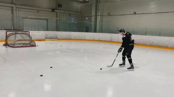 ВСЕ ВИДЫ БРОСКОВ / Как бросают MATTHEWS и BEDARD?