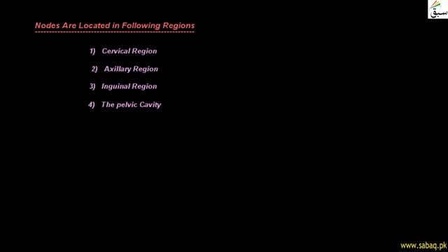 Position of Lymph Nodes, Biology Lecture | Sabaq.pk смотреть онлайн