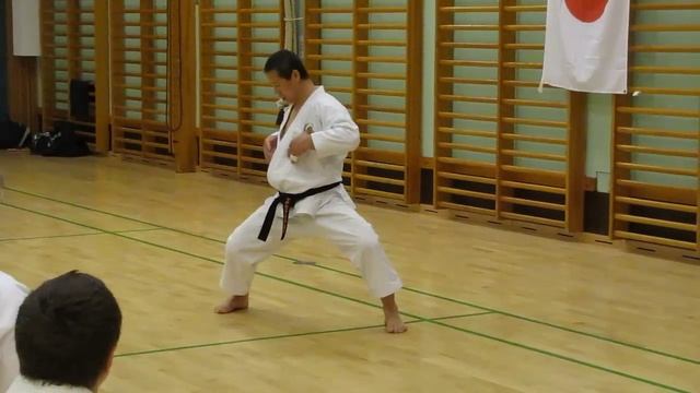 Sensei Masao Kagawa explains about sochin-dachi смотреть онлайн