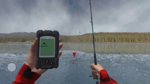 Ultimate fishing simulator как поймать сома