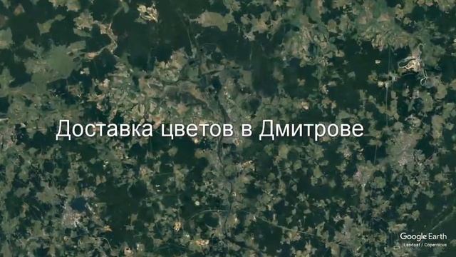 Доставка цветов в Дмитрове - Заказ букетов от компании Скорая подарочная помощь смотреть онлайн