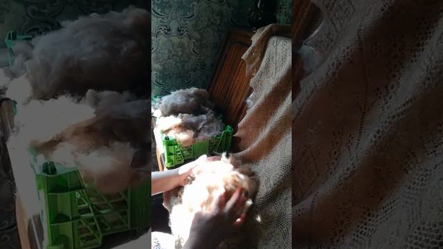 Старинная пуховая шаль из личной коллекции