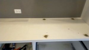 МЕНЯЕМ КУХОННУЮ СТОЛЕШНИЦУ/замена столешницы по гарантии после потопа на кухне.