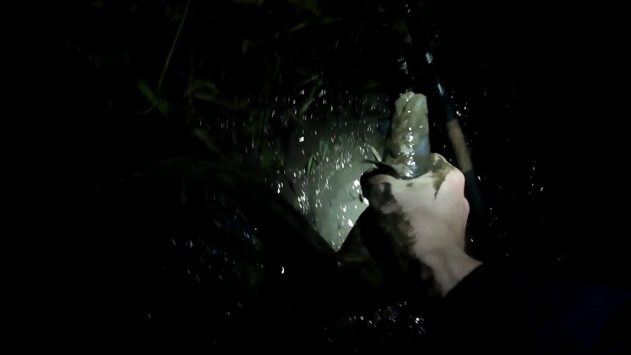 Налим осенью. Оснастка на налима. Ловля налима в октябре смотреть онлайн