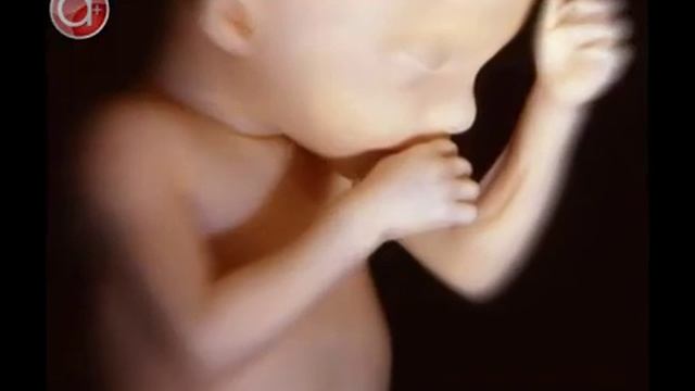Зевота смотреть онлайн