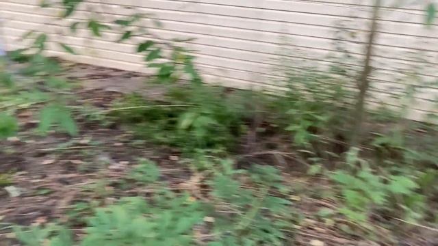 Юдино: Большая уборка смотреть онлайн