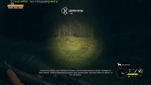 🐗 Зубр золото Финальный штрих в Хиршфельдене смотреть онлайн