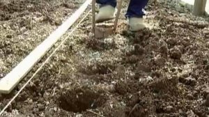 Посадка помидор.Лунки под рассаду.