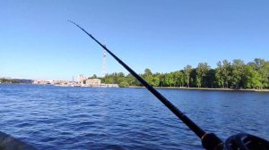 Shimano Scorpion - самый стабильный DC