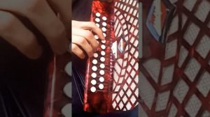 Разбор на гармони "Девочка пай"