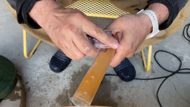 И смех и грех!)) Наконец-то решили проблему с водорослями в водоеме (надеюсь!) смотреть онлайн