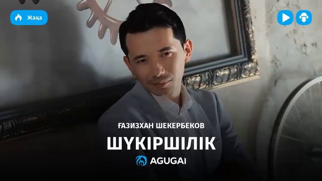 Газизхан Шекербеков - Шүкіршілік (аудио) смотреть онлайн