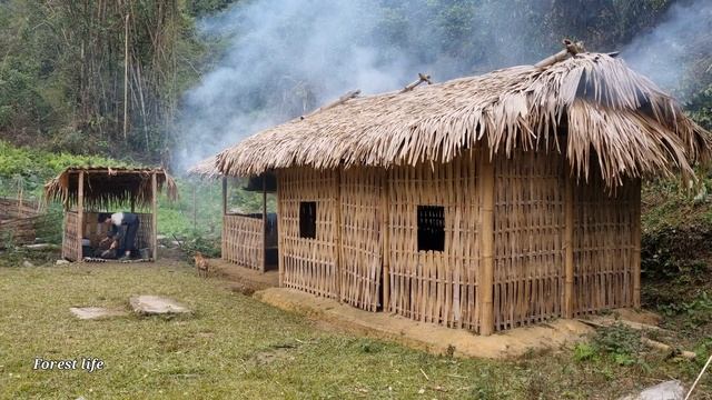 Daily life, harvest cassava to cook pet food, forest life - ep 80 смотреть онлайн