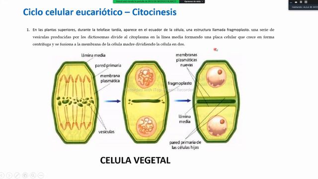 BIOLOGIA GENERAL смотреть онлайн