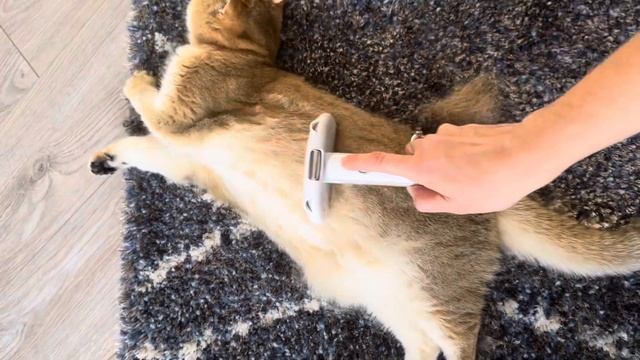 Классная щетка - дешеддер для кошек Tonepie смотреть онлайн