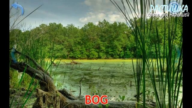 УЧИМ АНГЛИЙСКИЙ. ПРИРОДА. ПЕРВЫЕ СЛОВА для детей смотреть онлайн