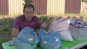 Чем кормить червей дендробена.