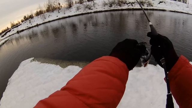 Первая рыбалка удилищем MajorCraft VIERRA VRS-802H + BONUSные ЯЗИ 12/03/2017