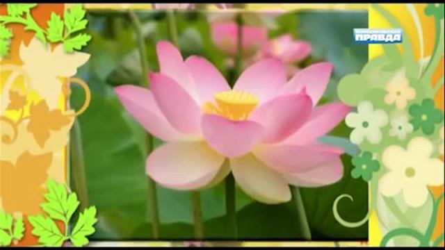 тютелька в тютельку №111 автор и ведущая татьяна уланова