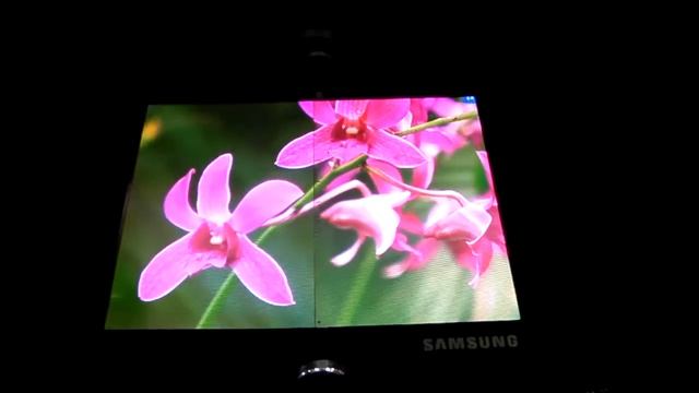 Бесшовный складной AMOLED-дисплей от Samsung смотреть онлайн