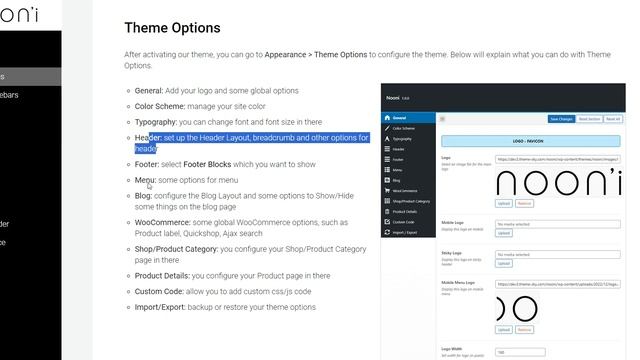 Nooni - Install The Theme, Plugins and Import Demo Content смотреть онлайн