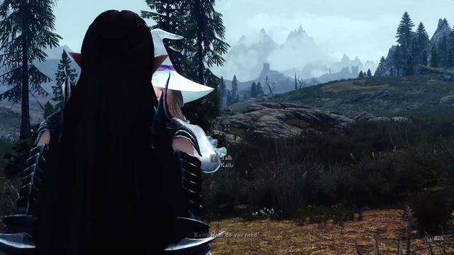 Skyrim: Kailu Follower смотреть онлайн