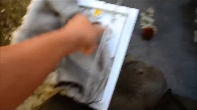 Maytronics-Dolphin Pool Cleaner, Dolphin Diagnostic