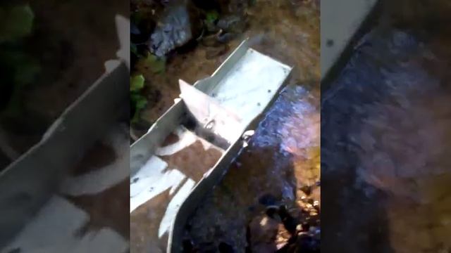 золото промывка на кварцевом ручье смотреть онлайн
