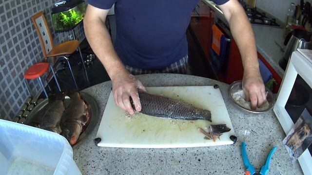 Создай Сам Себя