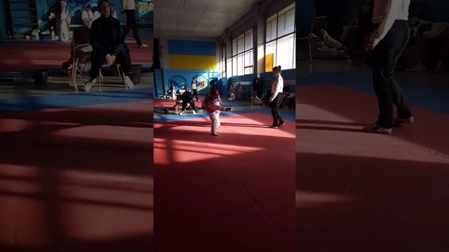 Шаповалов Тимур Тхеквондо Дети Чемпионат г. Каменское 2021. смотреть онлайн