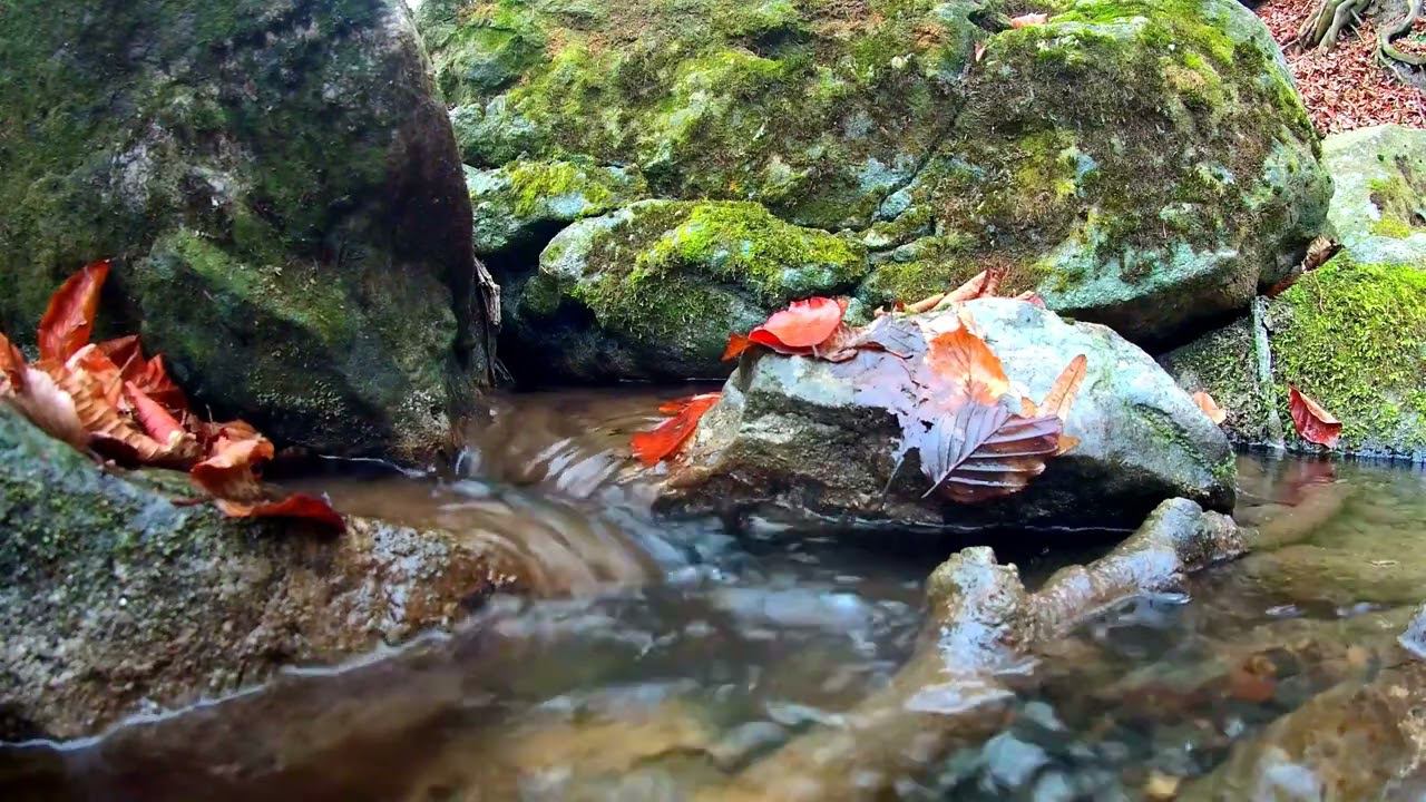 ОСЕННЕЕ смотреть онлайн