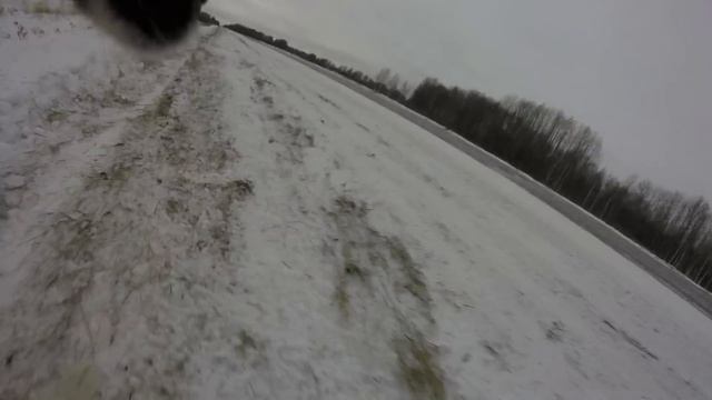 За сколько Дворняга пробежит 1 км. Дворовые собаки самые быстрые. смотреть онлайн