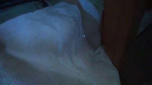 Капает вода с потолка. Решение проблемы номер РАЗ