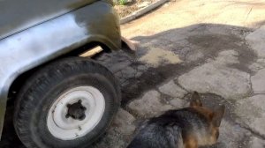 ЛУКОЙЛ в УАЗ 469! Замена масла в УАЗ! ТО для УАЗ