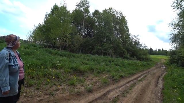 Дорога, одуванчики, соловьи. Начало лета. Пермь. смотреть онлайн