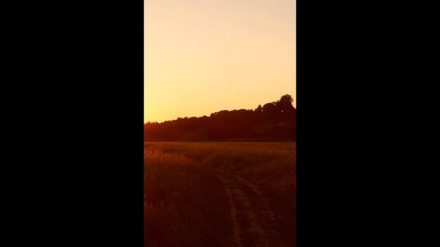 Dietrich Buxtehude (1637-1707) - Herr, Wenn Ich Nur Dich Hab' BuxWV 38