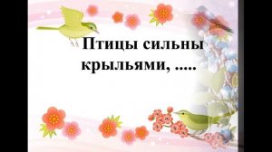 викторина птицы