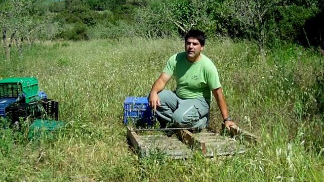 2 Construcción de una cupula geodesica o domo смотреть онлайн