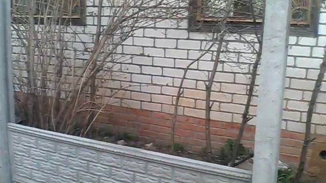 Ремонтная Философия