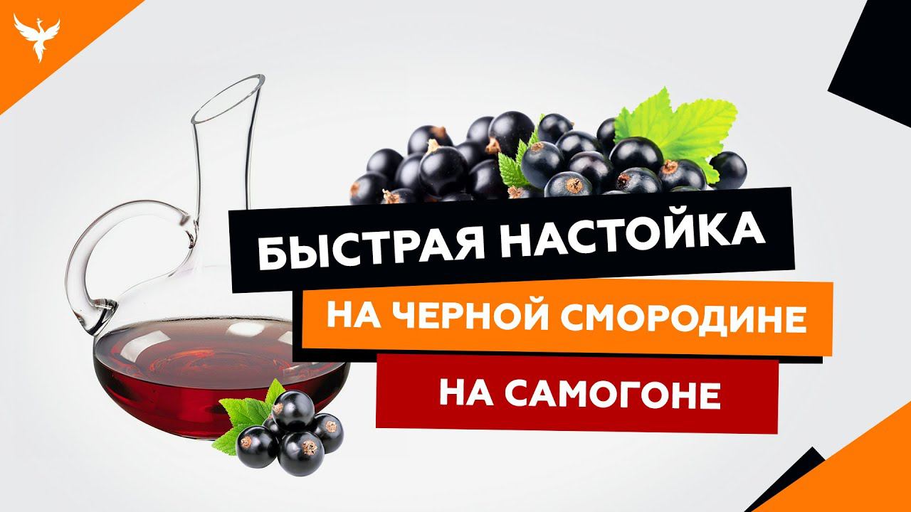 рДЖ 17 : Быстрая настойка на черной смородине на самогоне водке