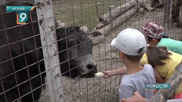Старооскольский зоопарк открылся для посещения смотреть онлайн