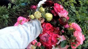 Как привить розу на шиповник .Летняя Окулировка роз .Размножение розы