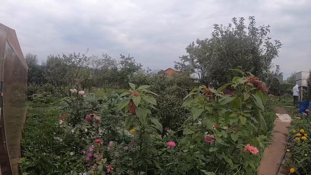 ДАЧА: 21 августа 2021. ураган? Арки больше нет. смотреть онлайн